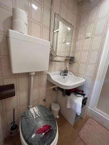 un baño con inodoro y lavabo en Apartments Medulin, en Medulin