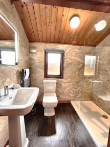 a bathroom with a sink and a toilet and a shower at Snowdrop 9 Hot Tub-Woodlandlodges-Pembrokeshire in Carmarthen