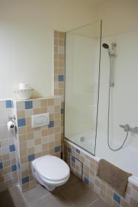 a bathroom with a toilet and a shower at Maison d'O in Ostend +12 photos