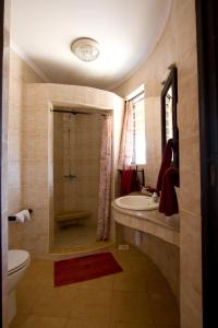 a bathroom with a shower and a sink and a toilet at Samburu Sopa Lodge in Archers Post