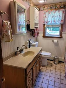 een badkamer met een wastafel en een toilet bij Lake Congamond Suffield House in Granby