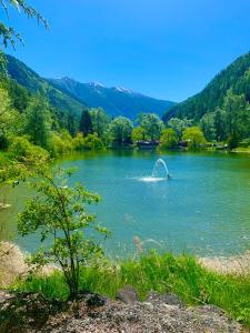 Un delfín está en el agua de un lago. en 2 pièces hameau, en Isola