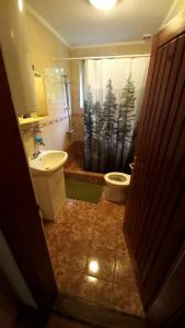 Koupelna v ubytování Hamvaskői Vadászház + 11 fotografií