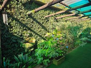 a garden with many plants and a wooden roof at King Sanctuary in Centurion