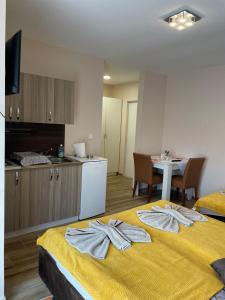 Kuhinja oz. manjša kuhinja v nastanitvi Apartmani Andrijana