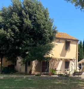 a house with a tree in front of it at Adamasseria in Collecorvino