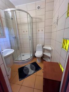 a bathroom with a shower and a toilet and a sink at Dom Wypoczynkowy Sztorm in Ostrowo +85 photos