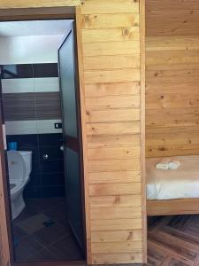 a bathroom with a shower and a toilet in a room at Valbona Relax in Valbonë