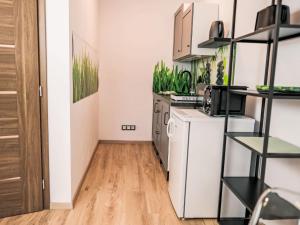 Fotografie z fotogalerie ubytování Apartment Atom by Interhome v destinaci Jáchymov