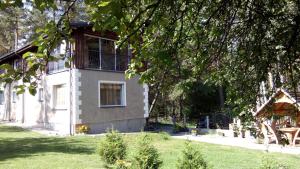 a house with a tree in front of it at Raigardo in Druskininkai