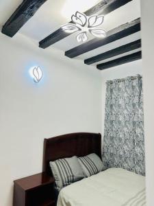 a bedroom with a bed and a ceiling fan at Apparemment Tour Eiffel- La Motte Picquet Grenelle in Paris