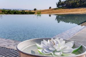 a flower in a pot next to a pool of water at Oikos Sani Suites in Sani Beach