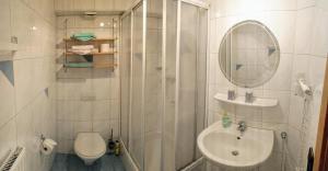 a bathroom with a shower and a sink and a toilet at Ferienhof Wolf in Viechtach +25 photos