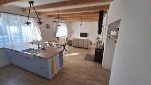 a kitchen and living room with a sink and a stove at Chaloupka Na Mýtince in Křepice