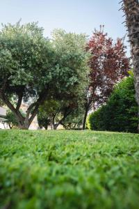 奥托纳Relais tra gli Ulivi的相册照片