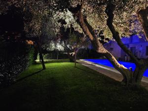 奥托纳Relais tra gli Ulivi的相册照片