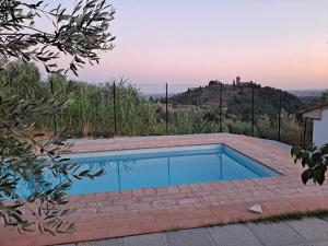 a swimming pool in a yard with a hill at Il Fienile di Meretto in Colle di Buggiano