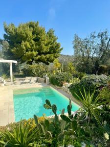 a swimming pool in a garden with plants at Villa del 1700 immersa nel verde, Poggio al Sole Vieste in Vieste