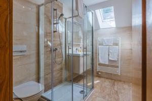 a bathroom with a glass shower with a toilet at Pogacar Apartments in Bled +52 photos