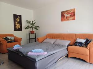 Posezení v ubytování Apartma Ginga