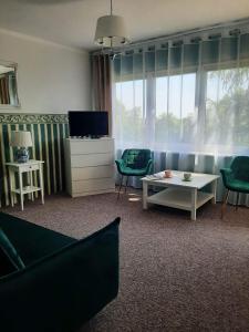 a living room with a couch and a tv at FALEZA Dębina in Debina