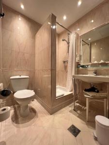 a bathroom with a toilet and a shower and a sink at Hotel König von Ungarn in Vienna