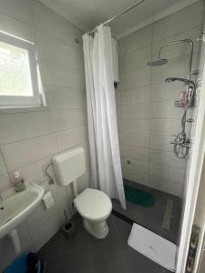 Bilik mandi di Apartman Manov - Ramsko jezero