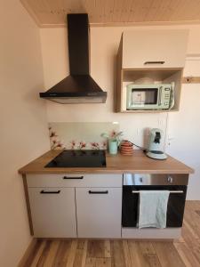 a kitchen with a stove and a microwave at La cabanista in Notre-Dame-de-Monts +3 photos