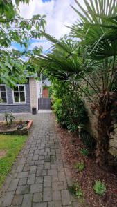 a stone walkway in front of a house with a palm tree at Hasenbau Wesel-Flüren in Wesel