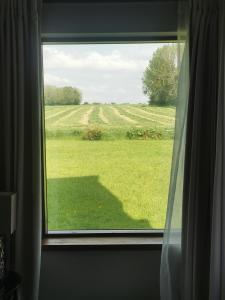 Ein Garten an der Unterkunft Roscommon Ensuite Room