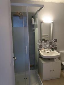 a bathroom with a glass shower and a sink at Appartement des hirondelles , au pied du château in Chinon +13 photos