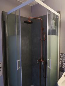 a shower with a glass door in a bathroom at Appartement des hirondelles , au pied du château in Chinon