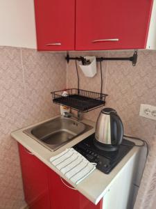 Kuchyň nebo kuchyňský kout v ubytování Guest House Damjana