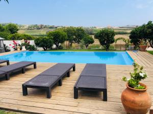 a swimming pool with benches and a table and a plant at Casa Da Várzea-Casa relaxante com piscina partilhada in Torres Vedras