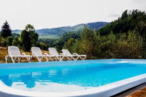 a swimming pool with two chairs at Pensiunea Fish Valley in Cîmpu lui Neag