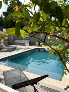 una piscina con una sedia accanto a un albero di Villa 3 chambres avec piscine privative ad Ajaccio