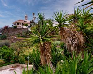 a house on top of a hill with palm trees at Casa Rosendo Madre in La Guancha