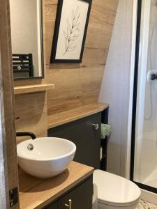 a bathroom with a white sink and a toilet at Chapel Fields Holiday Park in Chapel Saint Leonards
