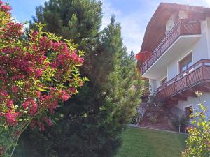 Zahrada ubytování APARTMENT Eva in OBDACH