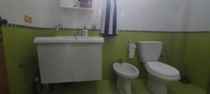 a green bathroom with a toilet and a sink at Villa Nathanael in Pogradec
