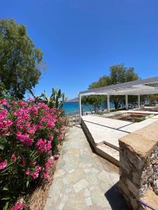 a bench next to the beach with pink flowers at Villa Aristoteles in Halki