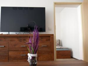 TV a/nebo společenská místnost v ubytování Ubytování Stará