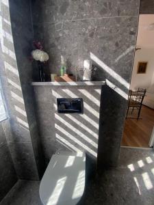 Η κουζίνα ή μικρή κουζίνα στο CASA MANZONI old town-Novigrad 20 m from the sea +70 φωτογραφίες
