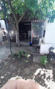 Una vista de la entrada a un edificio con un árbol. en Casa Vio, en Eforie Nord 12 fotos más