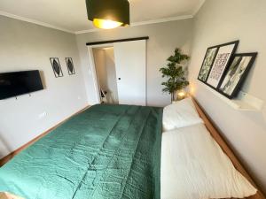 a bedroom with a green bed and a tv at APARTMENT KLAGENFURT Villa Frank No1 - with Free Parking, Air Conditioning, Smart-TV & Self Check-in in Klagenfurt