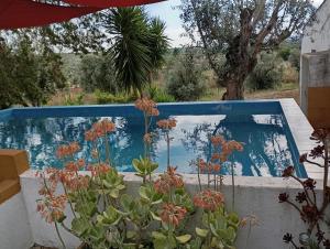 a swimming pool in a garden with flowers at Monte da Samarra in Avis