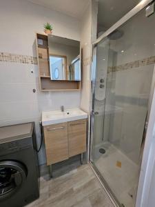 bagno con doccia, lavandino e lavatrice di Le Duplex Vercingétorix proche Paris et Disney a Champigny-sur-Marne