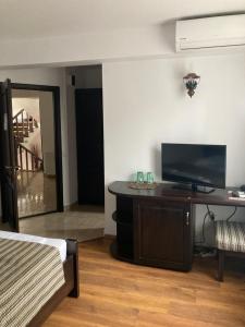 a living room with a television and a table with a bed at Pensiunea EDEN in Crisan