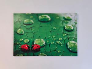 Fotografia z galérie ubytovania La Coccinella di Susà v destinácii Pergine Valsugana