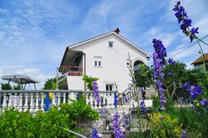 Zahrada ubytování Apartments Biondi